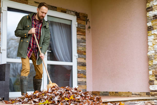 Best Junk Hauling Services  in Herrin, IL